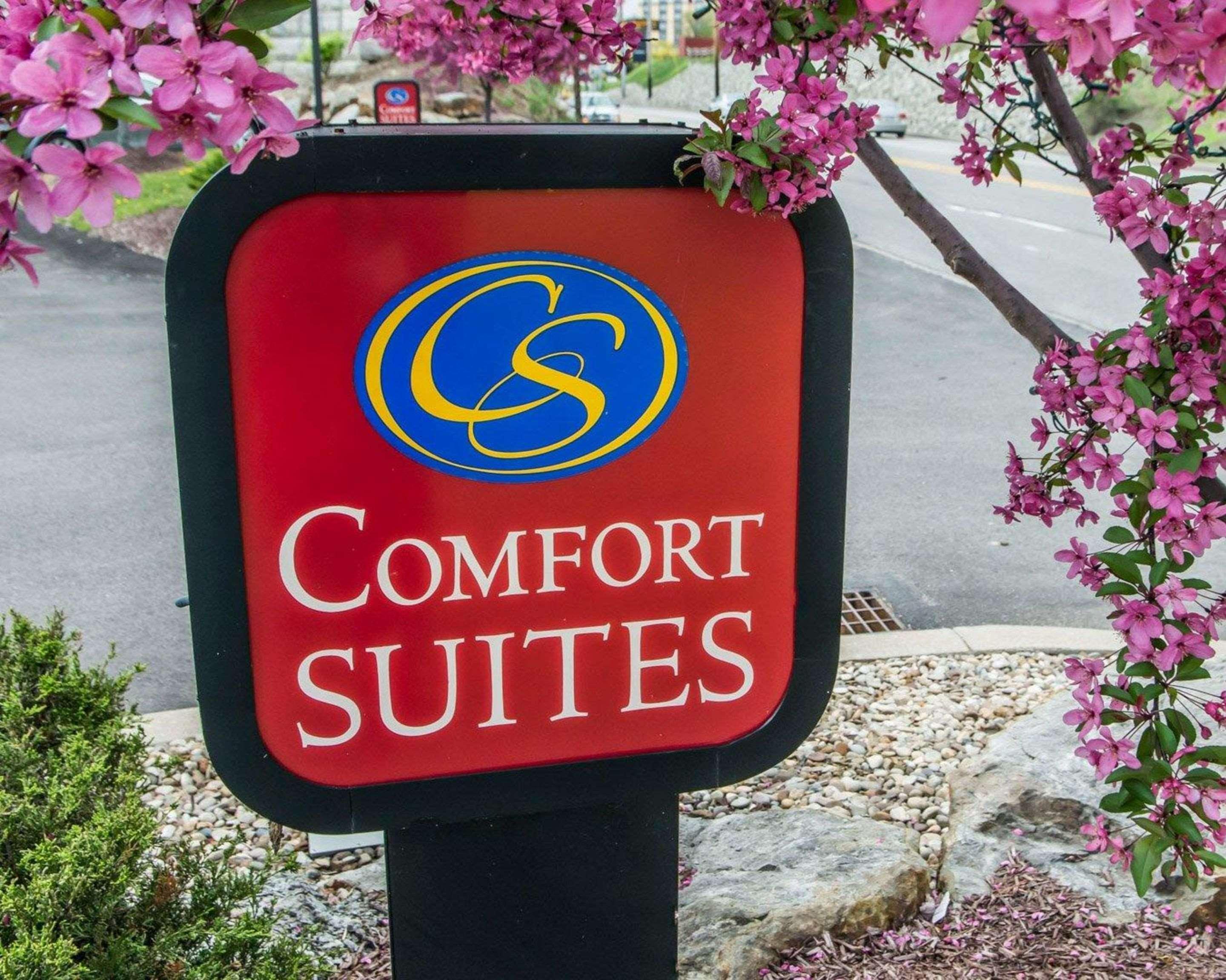 Comfort Suites Монровилл Экстерьер фото